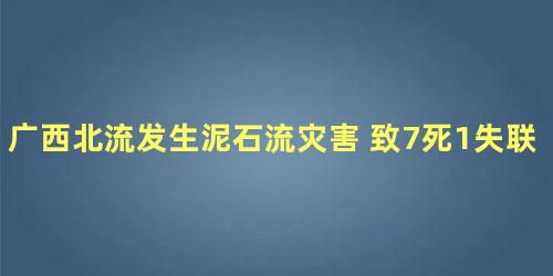 广西北流发生泥石流灾害 致7死1失联